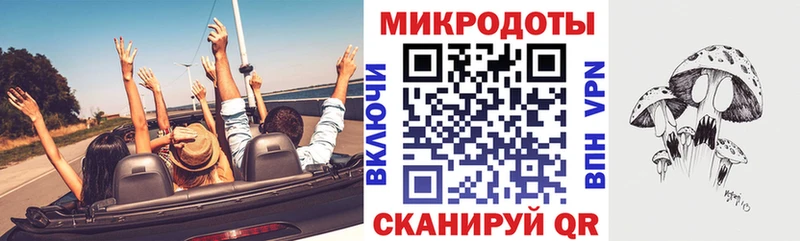 Псилоцибиновые грибы прущие грибы  наркота  Хасавюрт 